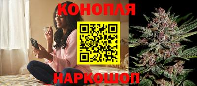 дмт Новодвинск