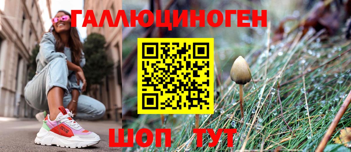 Сорочинск  наркота  Галлюциногенные грибы Magic Shrooms  Вход с VPN  Псилоцибиновые грибы мицелий 